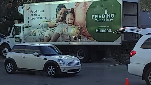 Feeding Tampabay