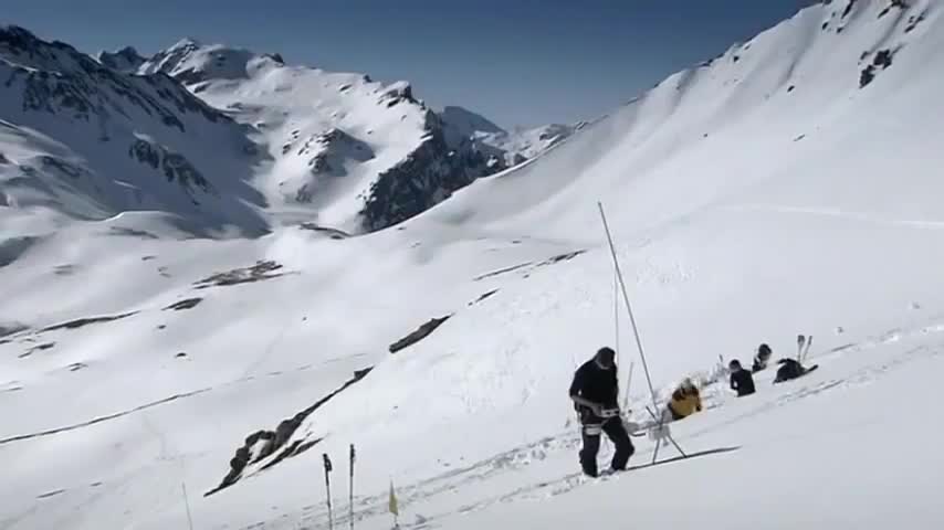 BBC I The phenomenon of snow in the wilderness Wild Animals