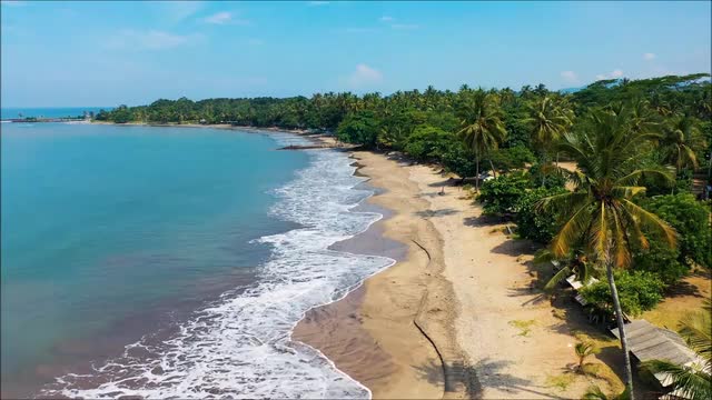 Beautiful view of the beach, sea, palm trees.