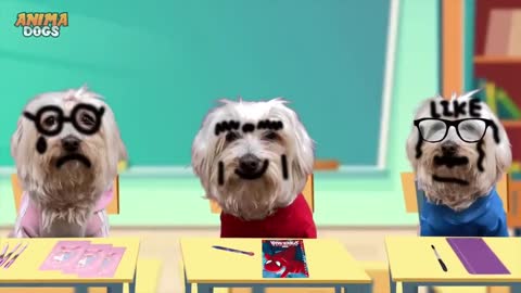 PAUSE Challenge en la VUELTA al COLEGIO de mi PERRO en la Vida Real !!