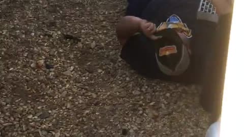 Trucker Fight
