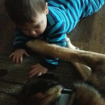 A boy who loves his dog