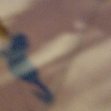 Going on a walk with dog