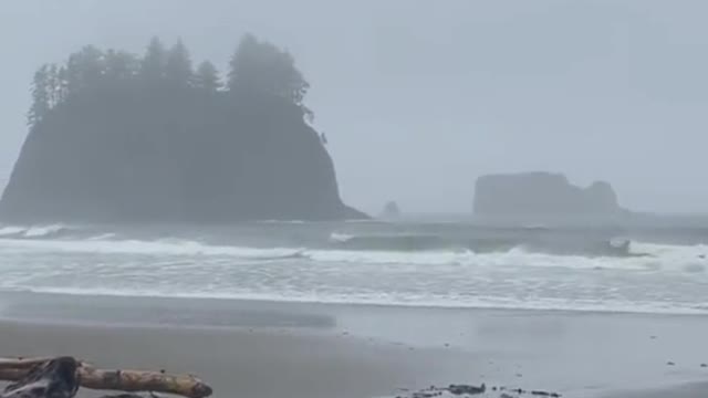 Olympic National Park has it all – beautiful coastline