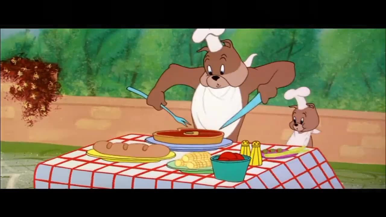 Tom and Jerry cartoon new comedy