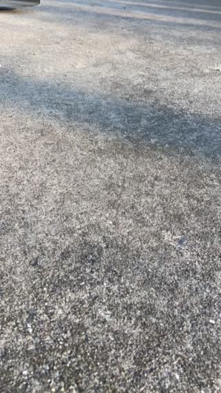 First driveway of the year