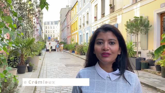 PARIS VLOG | VISITING LOUVRE AND RUE CREMIEUX PARIS | Jayesh & Shreya in Paris