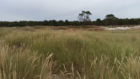 Vid stranden Hagestad 2 Aug. 2022