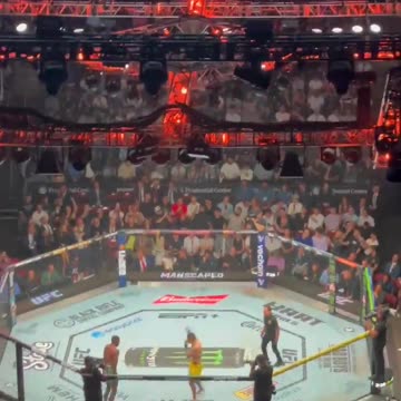 UFC Crowd Chants "We Want Trump"