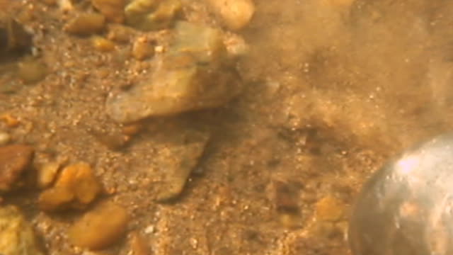 VA Gold On the Creek Rap River July 2008 3