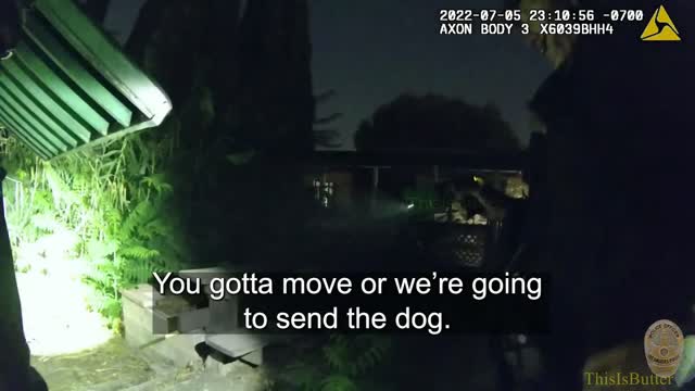 LAPD releases body cam footage of an use of force incident with a K9 arrest