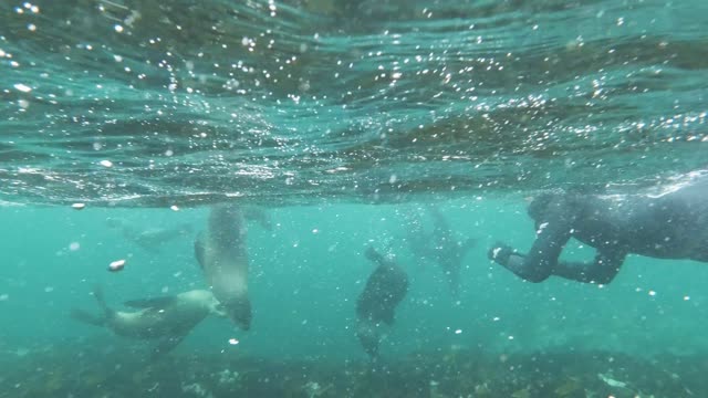 Water fishing