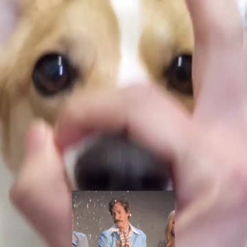 That script goes on perfectly 😂