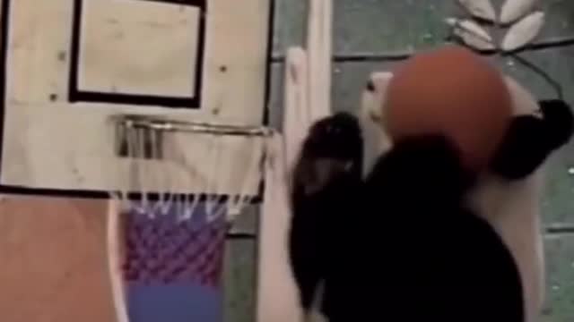 Panda showing time please help like!!!!!