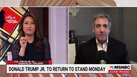 Michael Cohen on Trump defense This is a stupid strategy -