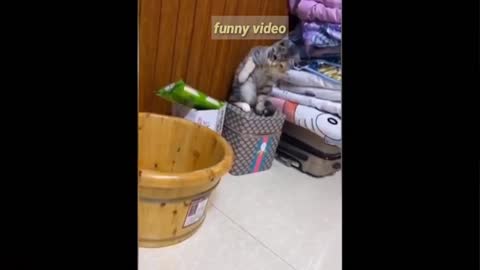 That is a very Funny Moment video,😂😃