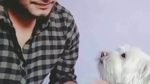 See what a funny man did with his dog