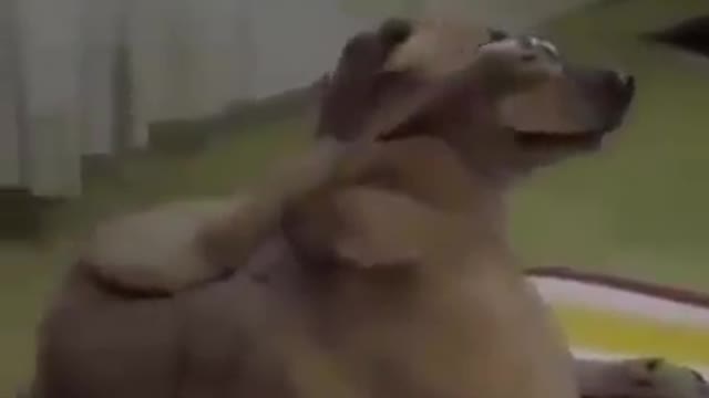 Smart and funny video