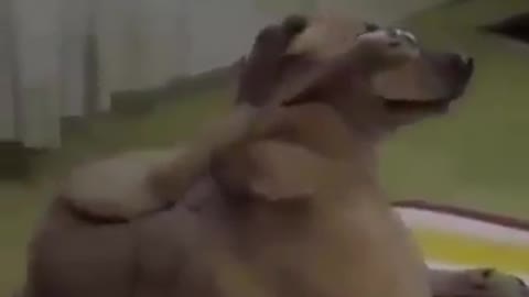 Smart and funny video