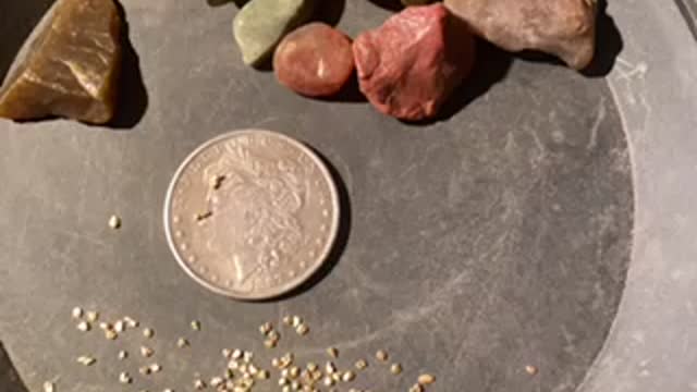 Scars prospecting gold giveaway patreon.com