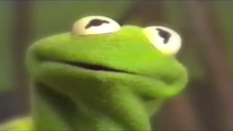.What are Frogs, Mulder_
