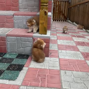 What is going on 🤭🤭🤭