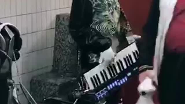 Man with cat costume head playing music