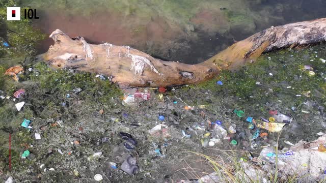 Canal nets stops pollution entering Zandvlei Estuary, Western Cape