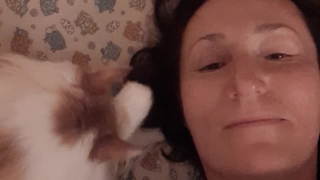 CAT LOVES KISSES !