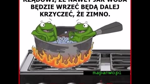 zwyczajna wymiana spostrzeżeń między Polką a Polakiem nt naszej narodowej sytuacji