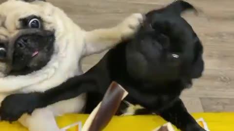 get off its mine!. no you get off its mine!.