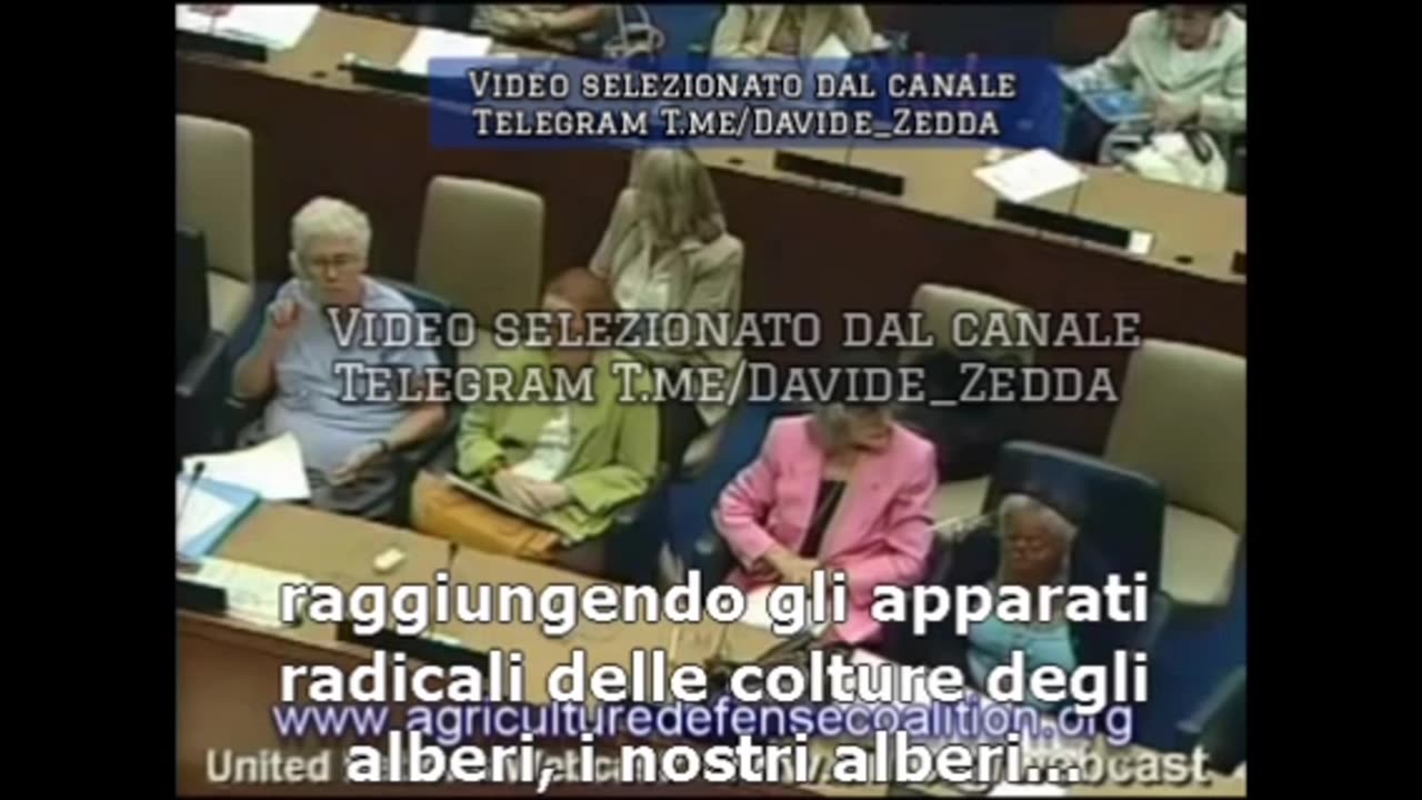 VIDEO | 🔴✈️ ONU: la relazione di Rosalind Peterson sulle scie chimiche: