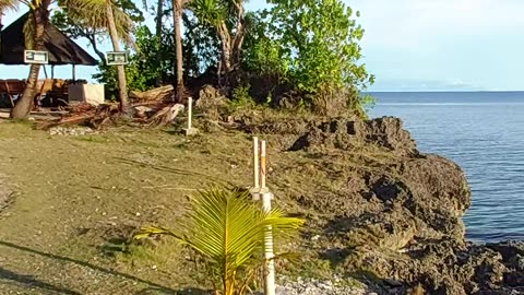 Scuba Diving Anda,Bohol