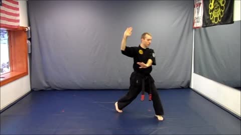 Basic Skillz Black Belt - Orange Stripe