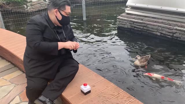 Kim Jong-un vs duck