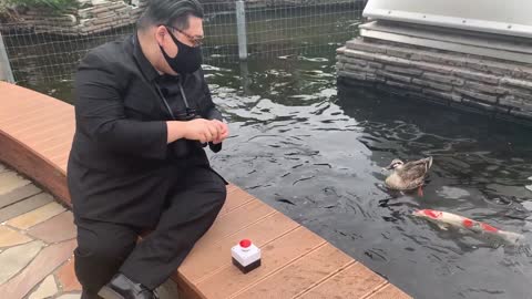 Kim Jong-un vs duck