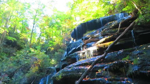 Yellow Branch Falls; Upstate South Carolina