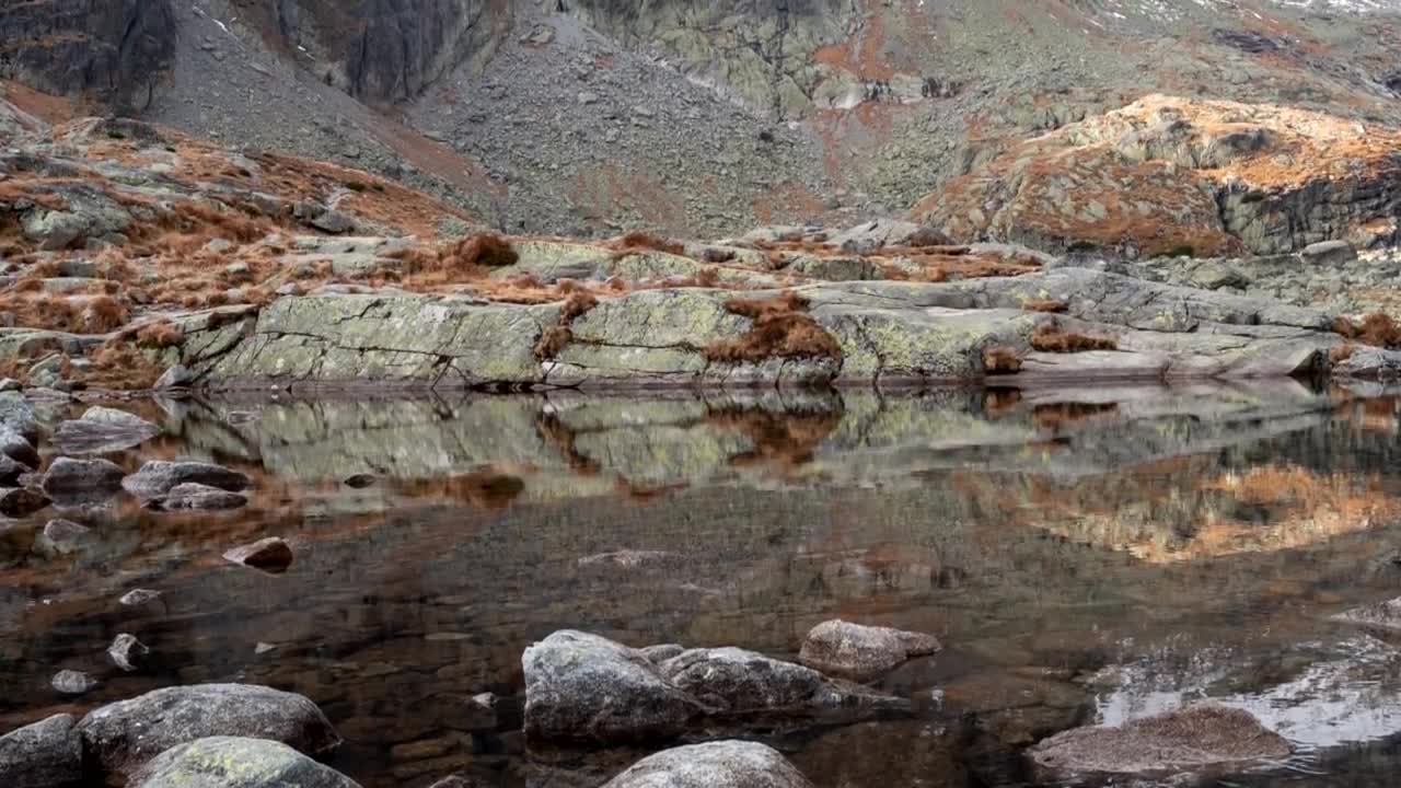 Longinus - Výzva k občanom a inštitúciám: Naberme odvahu!