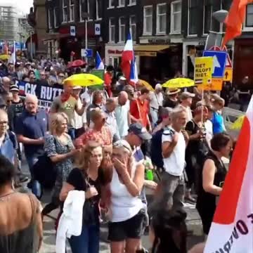 Dutch Citizens Flood the Streets