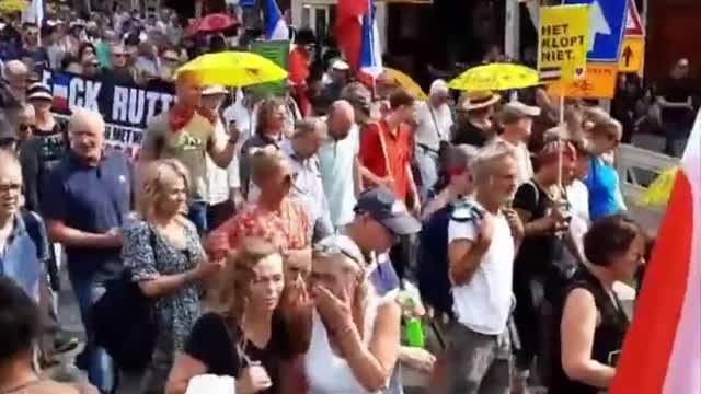 Dutch Citizens Flood the Streets