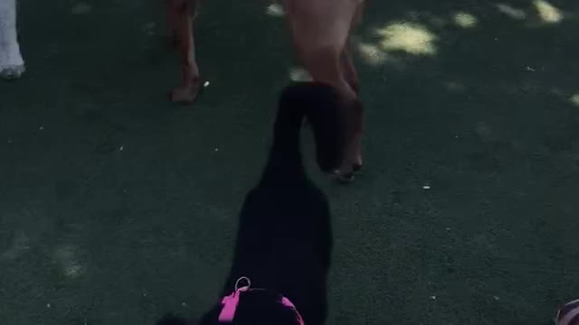 2021 Kennon Anniversary 5