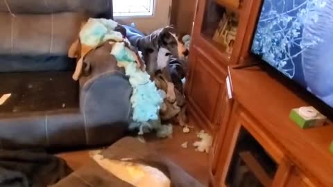 Dogzilla