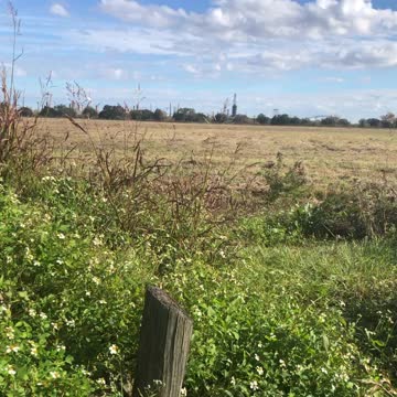 Chalmette Battlefield_8
