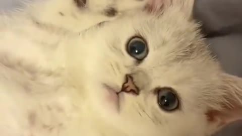 Helping a cute friend