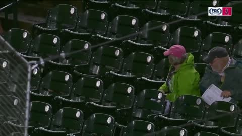 A GOOSE CRASHES A BASEBALL GAME !!