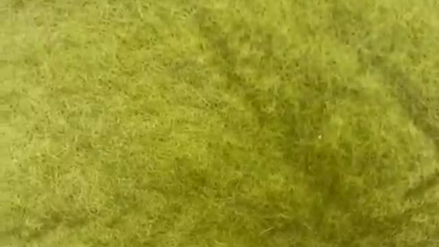 Waking up the cat
