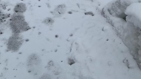 Teaneck winter wonderland