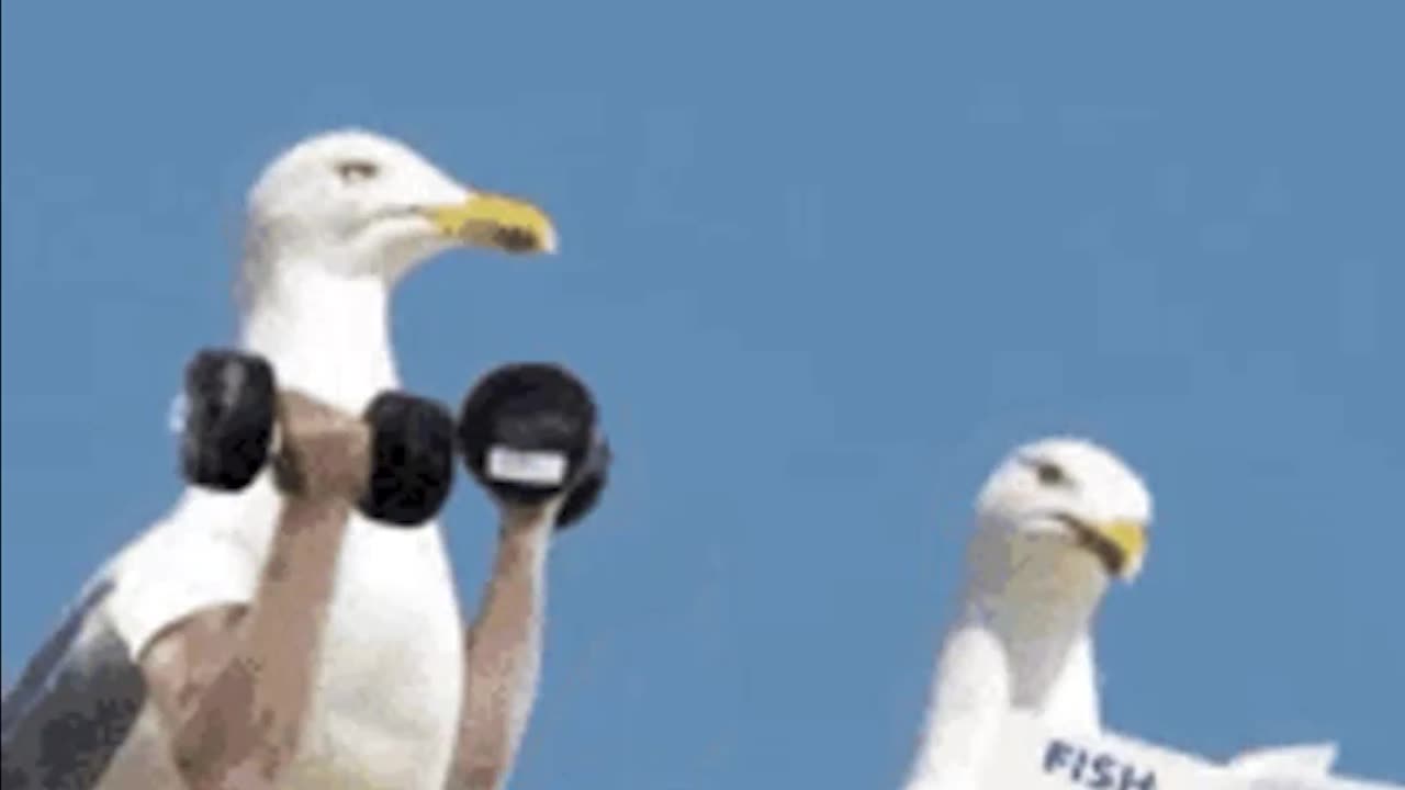 Swooping in to steal ya stash.