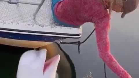 Loyal Friend Is Worth More #shorts #shortvideo #video #virals #videoviral