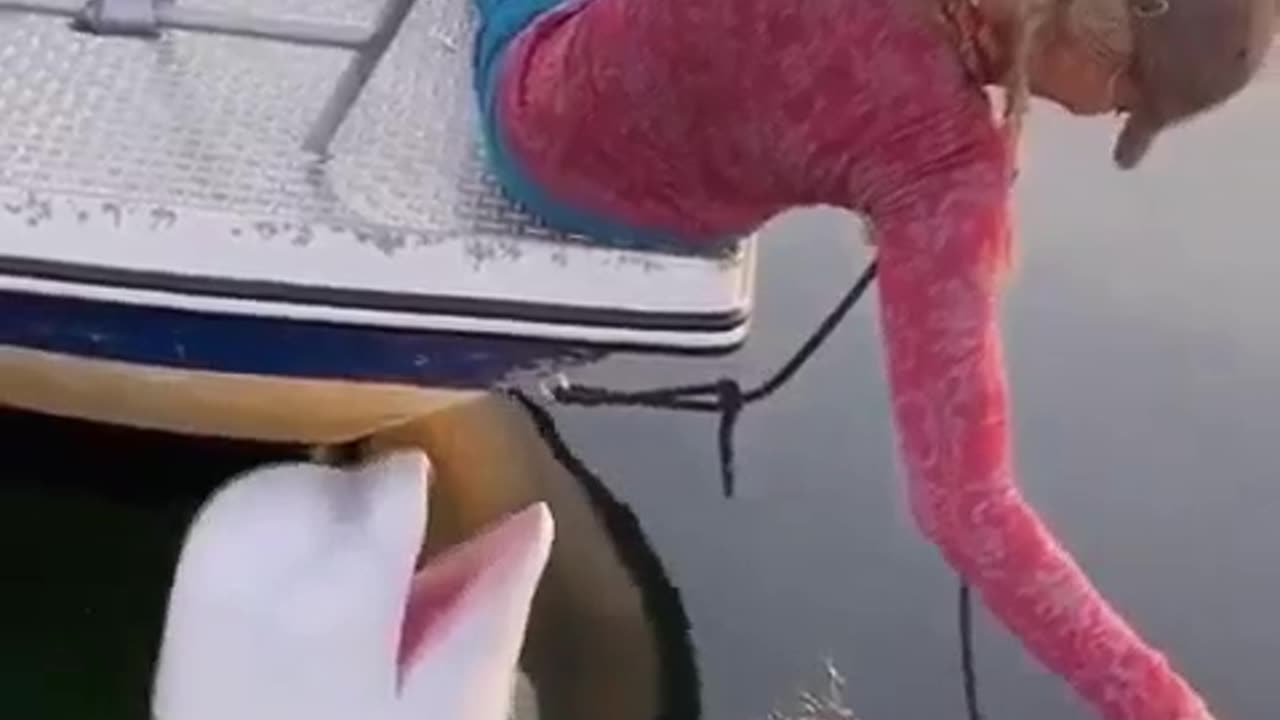 Loyal Friend Is Worth More #shorts #shortvideo #video #virals #videoviral